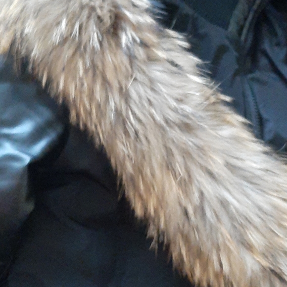 Winter coat - Picture 3 of 5